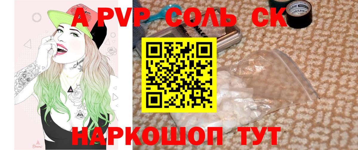 Альфа ПВП СК Сунжа