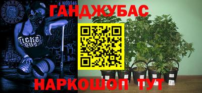 гидра Гай