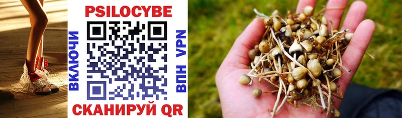 Псилоцибиновые грибы прущие грибы Сунжа