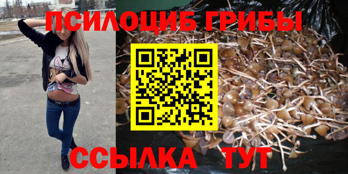 Галлюциногенные грибы Psilocybine cubensis Сунжа