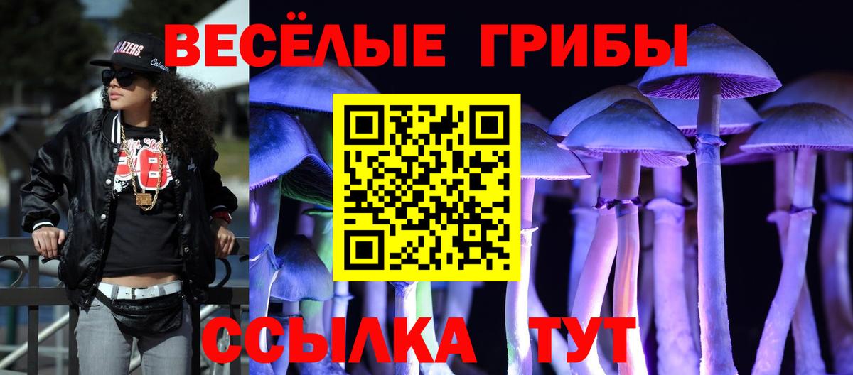 Галлюциногенные грибы Psilocybine cubensis  Вход с VPN  Галлюциногенные грибы мицелий  Сунжа 