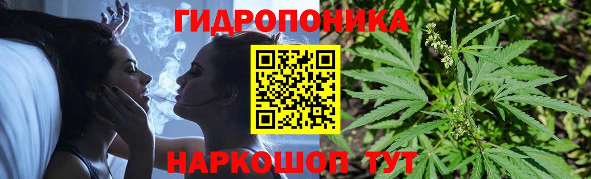Бошки Шишки Ganja  Марихуана тримм  Сунжа  Вход с VPN  Канабис план 
